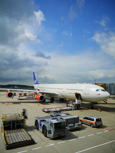 b0043961_11363964.jpg