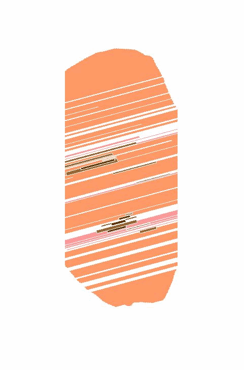 a0134863_9131250.gif