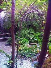 f0211463_21554994.jpg
