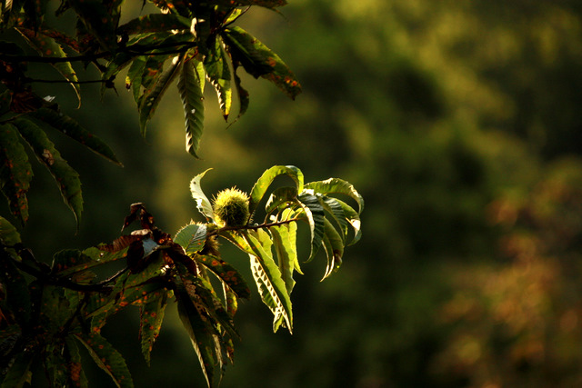 c0183164_10315814.jpg