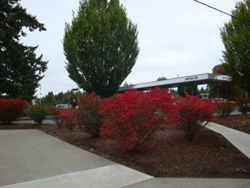 d0169566_13291920.jpg