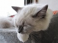 f0200666_22384535.jpg