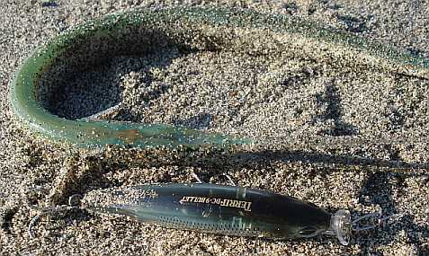 a0096669_1713985.jpg