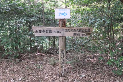a0121671_20134395.jpg