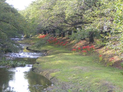 c0112172_31794.jpg