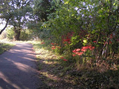 c0112172_322256.jpg