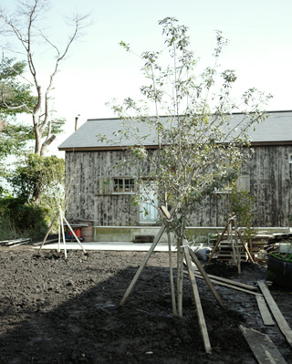 e0172372_04458100.jpg