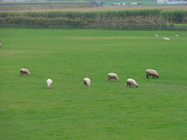 f0079980_0214041.jpg