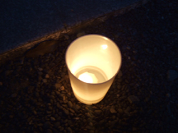 c0051781_142118.jpg