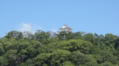 f0003283_216387.jpg