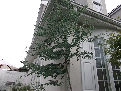 b0207995_205977.jpg