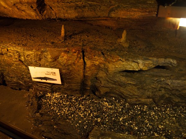 b0075797_0111615.jpg