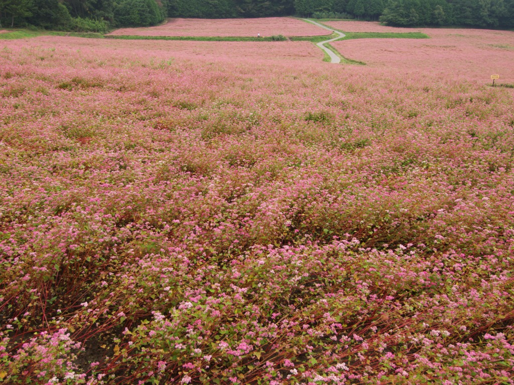 f0224100_22231942.jpg