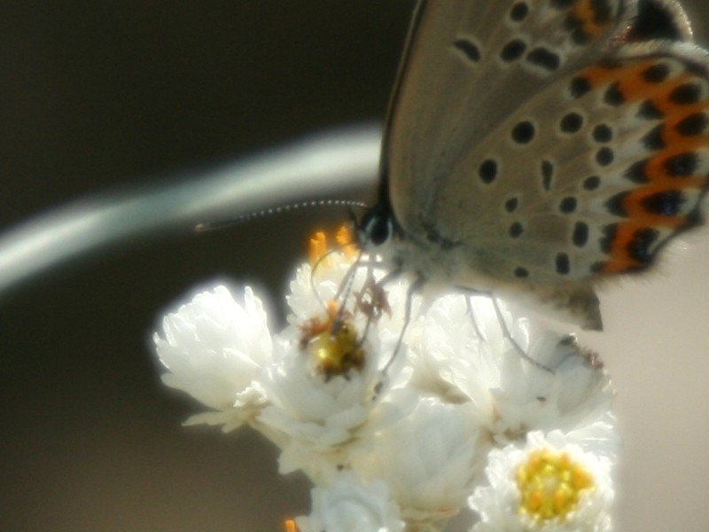 e0103903_15322555.jpg