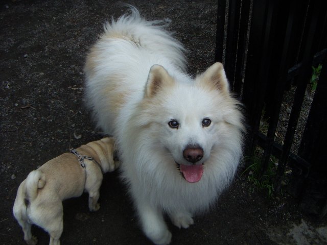 e0018604_962776.jpg