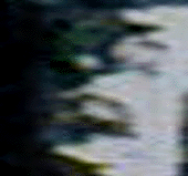 e0103408_13334866.gif