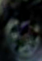e0103408_13345329.gif
