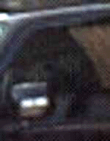 e0103408_13351813.gif
