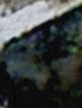 e0103408_13521812.gif