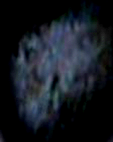 e0103408_13524911.gif