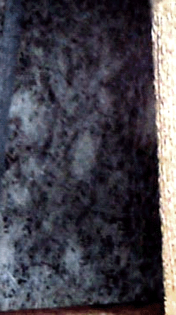e0103408_13544031.gif