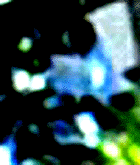 e0103408_1355578.gif