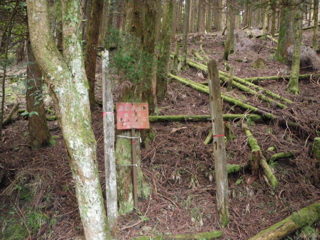 d0006512_0283883.jpg