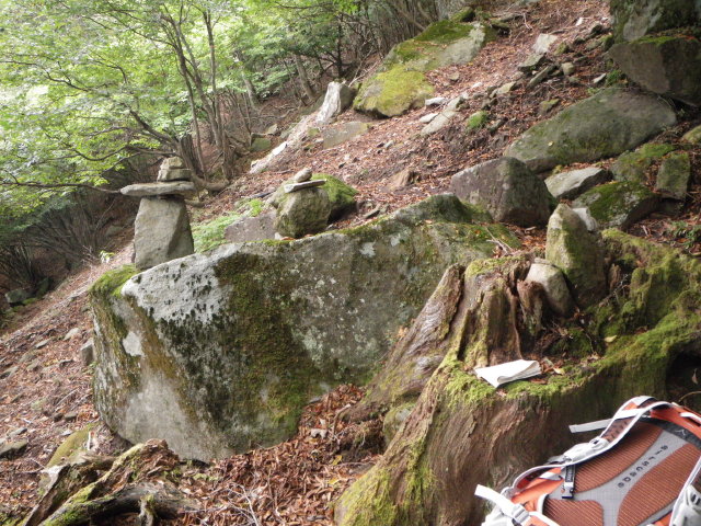 d0006512_0305261.jpg