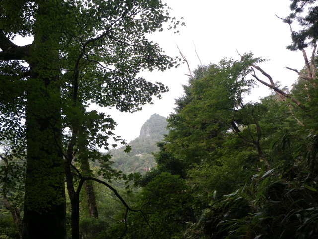 d0006512_0325499.jpg