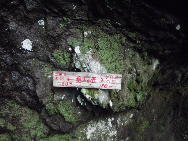 d0006512_0371154.jpg