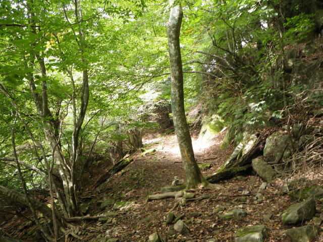 d0006512_0384621.jpg