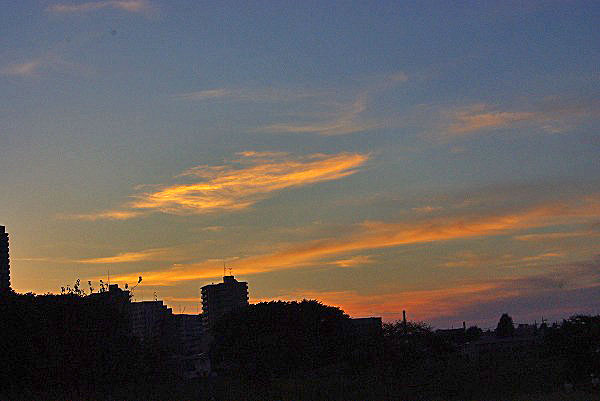d0147812_19515969.jpg