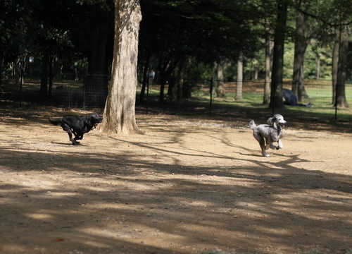 c0101713_22185041.jpg