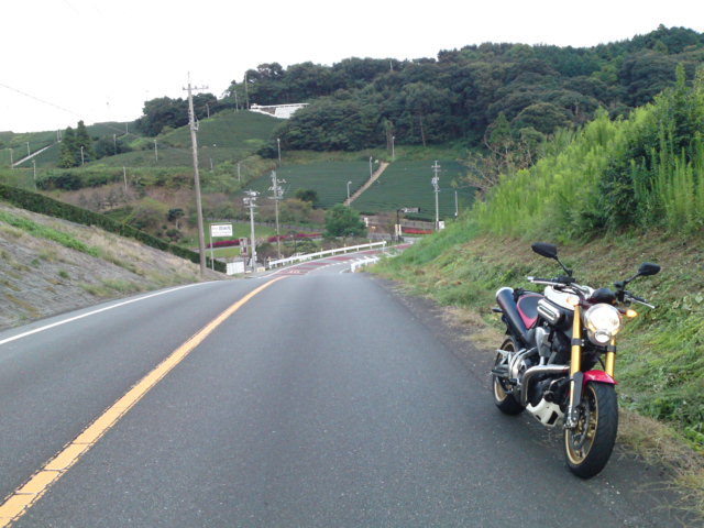 f0232613_2055494.jpg
