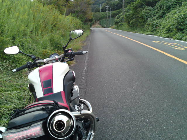 f0232613_20563250.jpg