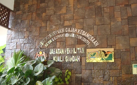 c0145615_1316533.jpg
