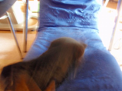 c0145016_8242394.jpg