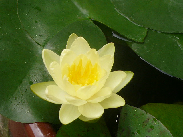 e0026017_14541884.jpg