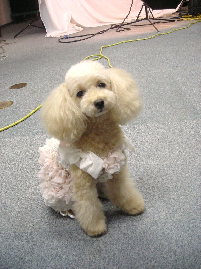 c0149622_1651446.jpg