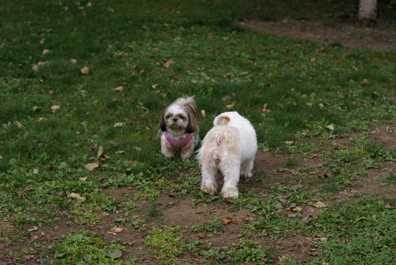 e0122424_2113032.jpg