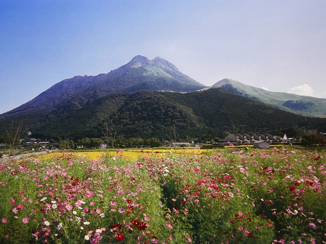 b0162728_1304560.jpg