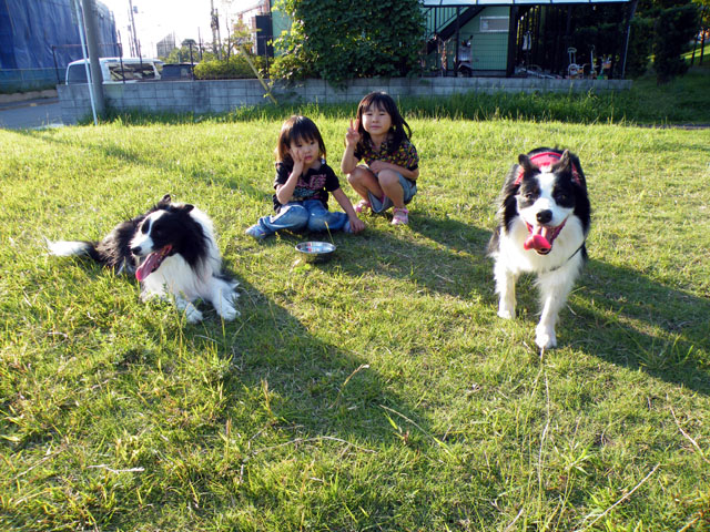d0059230_713657.jpg