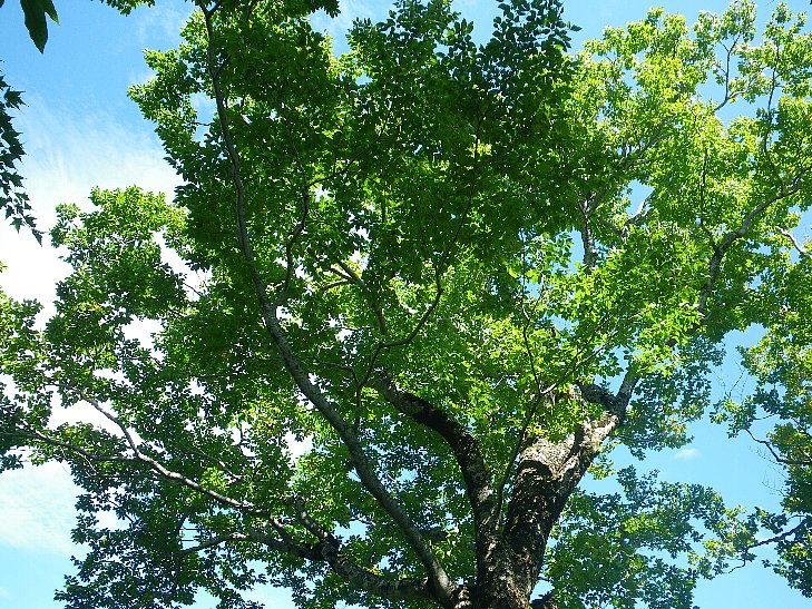 f0118332_22393798.jpg