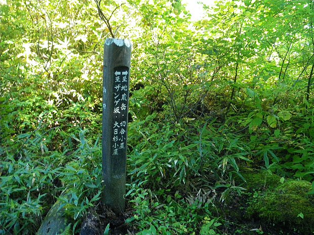 f0118332_22471248.jpg