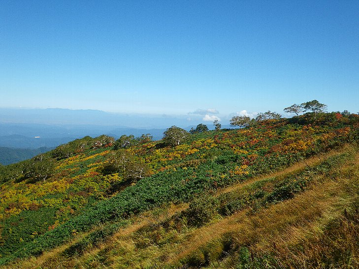 f0118332_231287.jpg
