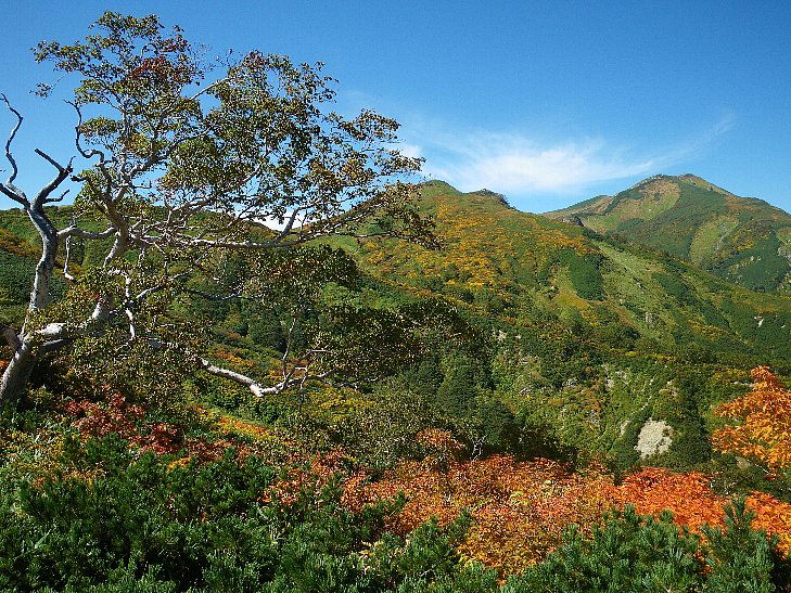 f0118332_2313894.jpg
