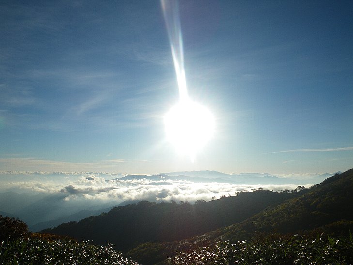 f0118332_23365158.jpg