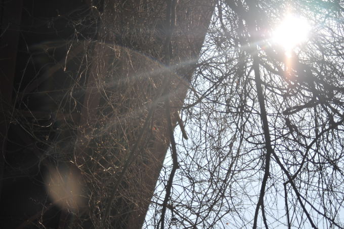 c0133133_2230785.jpg