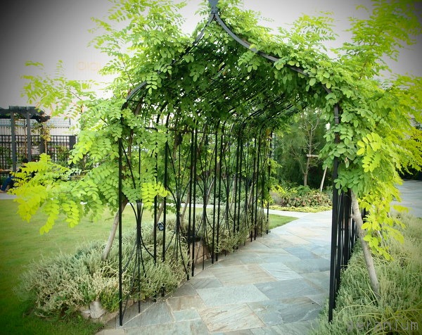 c0133533_113758.jpg