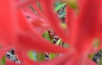 a0017634_22143728.jpg